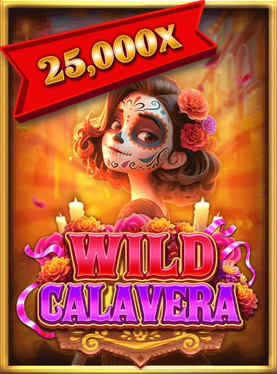dc555 new game